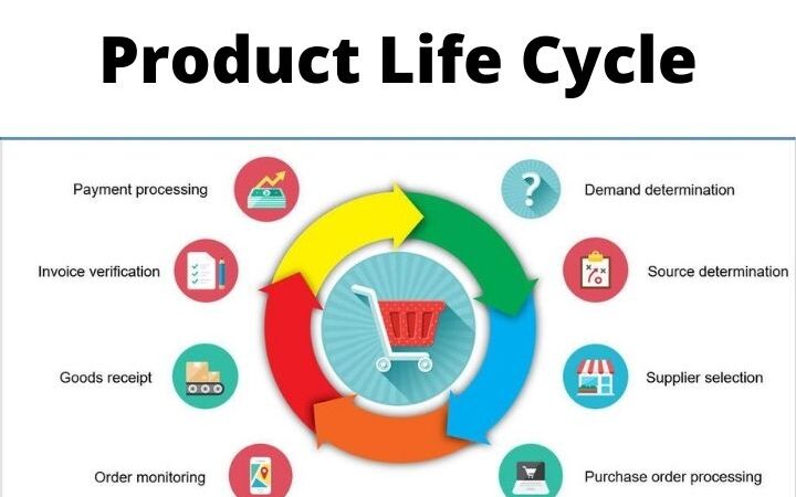 What Is The Life Cycle Of A Product? Different Stages Of Product Life Cycle