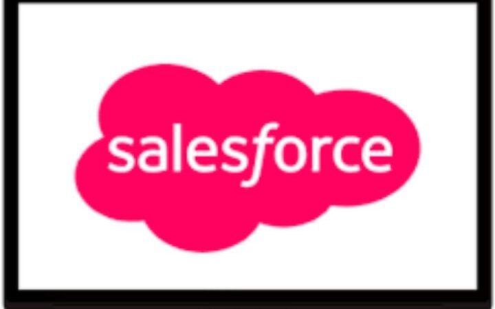 What Are The Functions Of The Salesforce?